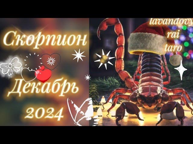 Скорпион .Декабрь 2024️.Затишье перед броском .#скорпион #таропрогноз #магия #гадание #таро