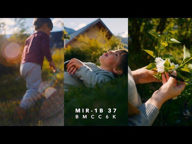 The wide angle alternative to Helios 44-2 | Mir-1B 37 | Test Footage on Blackmagic Cinema Camera 6K