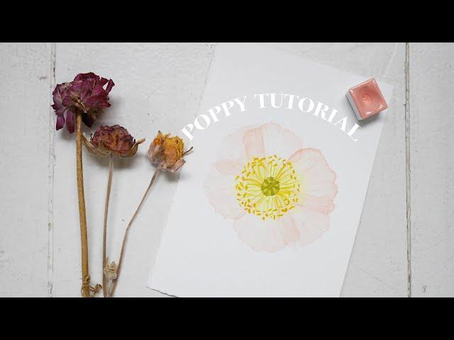 How to paint watercolor poppies | For Beginners