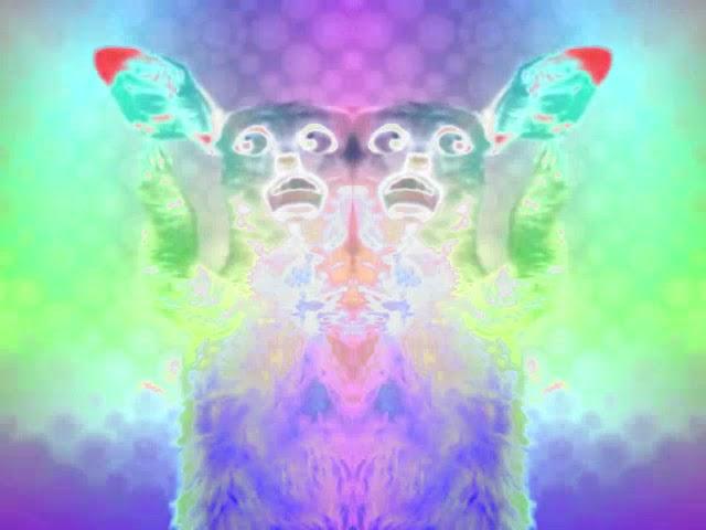 Preview 2 Numa Cat 2 Effects in CoNfUsIoN