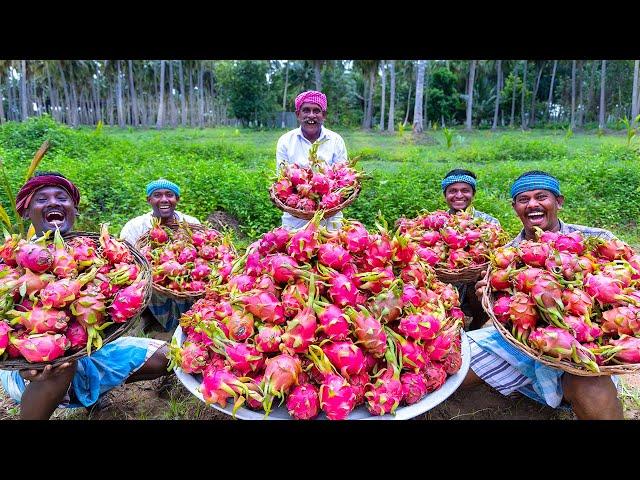 DRAGON FRUIT JAM | Homemade Jam Recipe Cooking in Village | Yummy Jam Making with Dragon Fruits