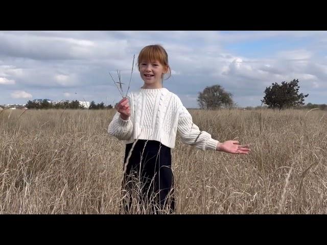 Стихотворение «Родина» (Я узнал, что у меня есть огромная семья…)