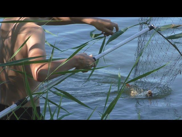 Рыбалка. Ловись рыбка большая и маленькая. My fishing.