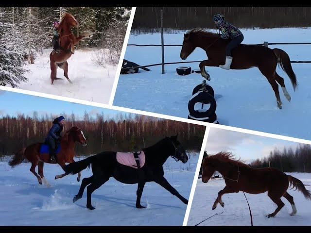 Несколько дней из нашей жизни.