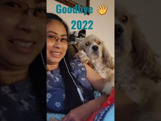 Nic said goodbye 2022 and see you at 2023 #cockerspaniel #shorts #dogs