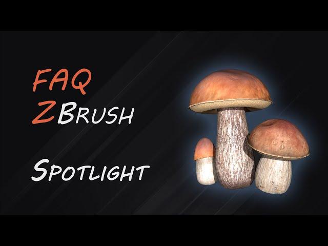 Цвет и текстуры Spotlight ZBrush | FAQ-12