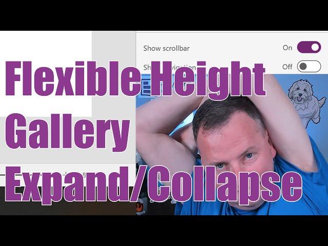 Power Apps Flexible Height - Expand and Collapse Nested Gallery