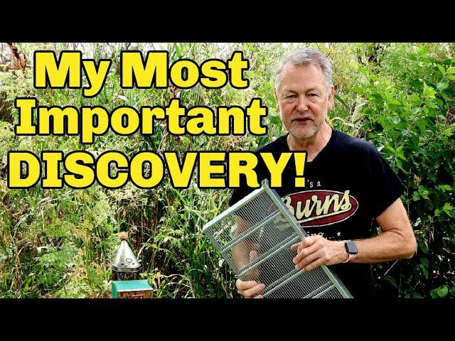 Beekeeping: My Most Important Discovery EVER That Will Help You Too!