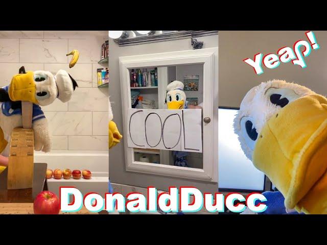 Best of DONALDDUCC TikTok Compilation - Funny Donald Duck TikToks of 2021