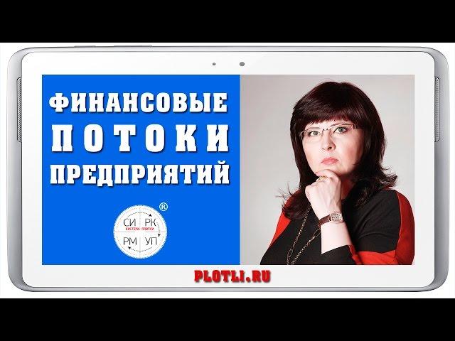 Финансовые потоки и бюджетирование предприятий [Система ПЛОТЛИ. Управление Финансами]