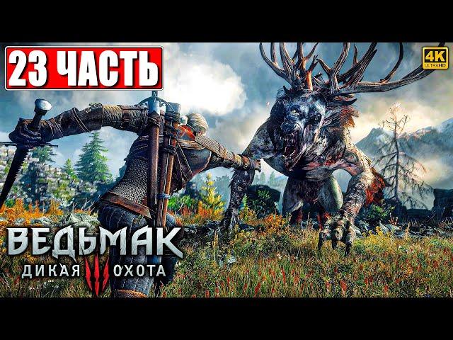 ПОЛНОЕ ПРОХОЖДЕНИЕ ВЕДЬМАК 3 RTX [4K]  Часть 23  The Witcher 3 Wild Hunt На Русском  На ПК