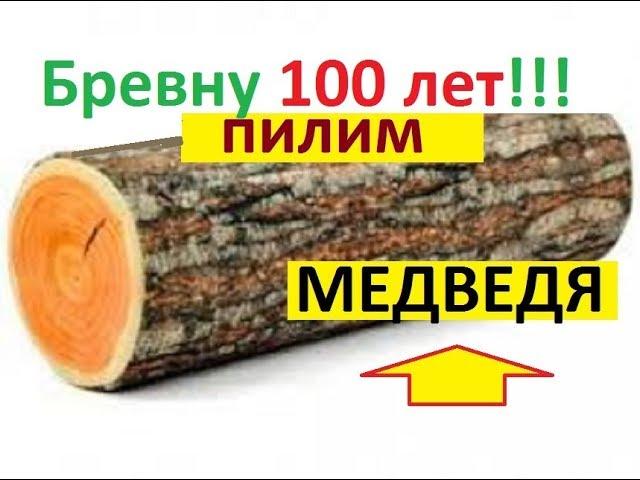 Медведь из бревна, которому 100 лет! "Артель братьев Спицыных"