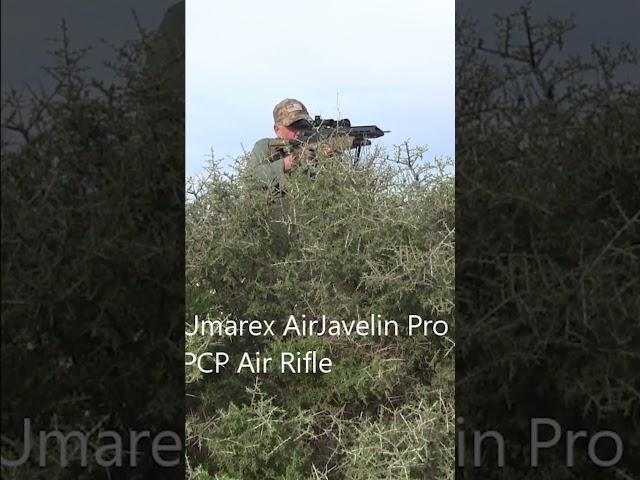 AirJavelin Airgun Arrow for small game hunting