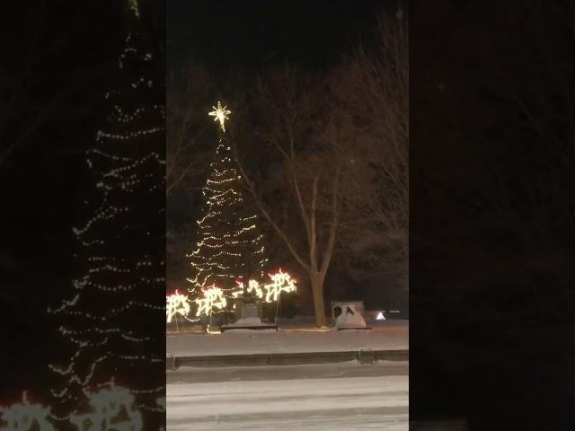 Courthouse Christmas #shorts