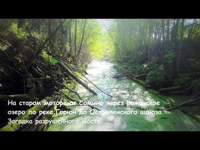 Остроленский шлюз на реке Горюн. Из Сомино на моторе по Тихвинской водной системе. Жуткая находка.