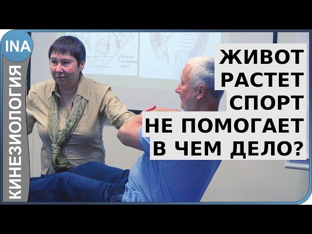 Живот растет. Спорт не помогает. В чем дело? Проф. Васильева. Обучение кинезиологии