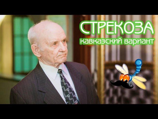 Стрекоза | перезагрузка на кавказский лад