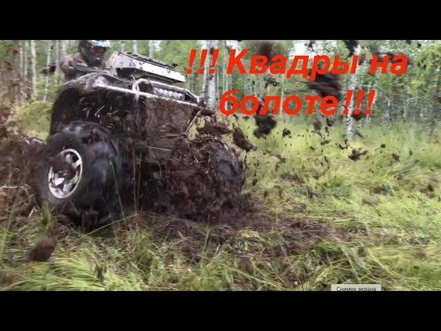 ATV-Монстры на болоте