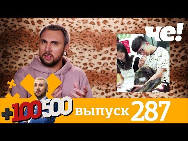 +100500 | Выпуск 287 | Новый сезон на телеканале Че!