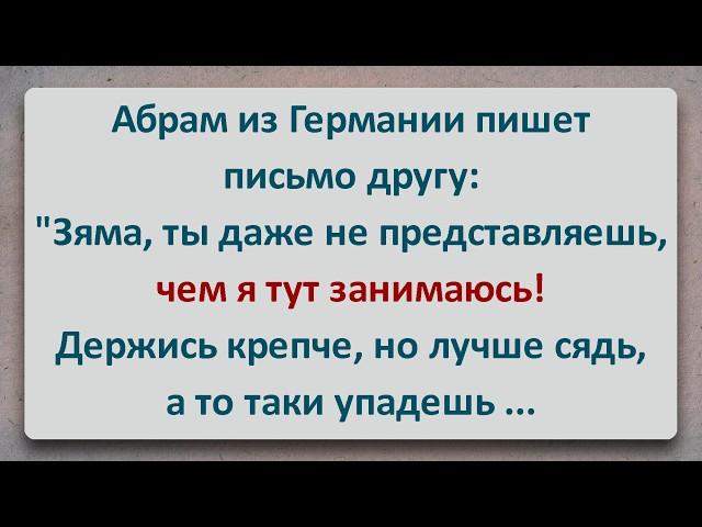 ️ Абрам Устроился в Германии! Еврейские Анекдоты! Про Евреев! Выпуск #401