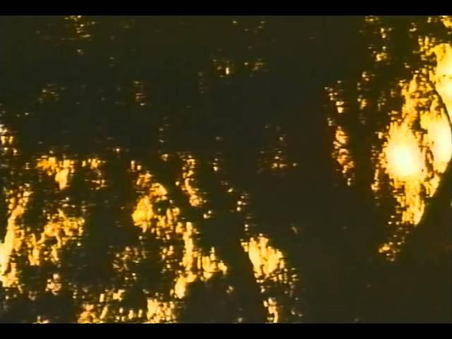 Lake Consequence Trailer 1992