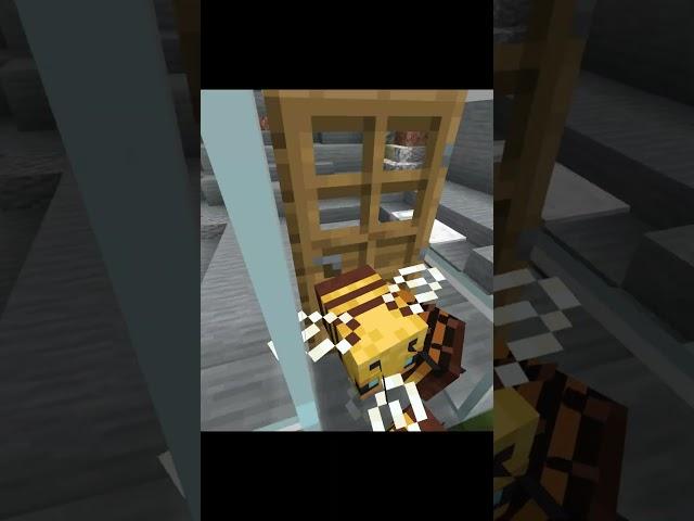 #minecraft #bees #майнкрафт