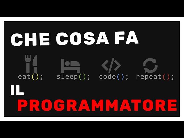 COSA FA IL PROGRAMMATORE | Vita Da Founder