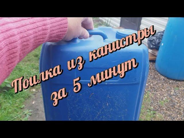 Поилка из канистры для домашних птиц за 5 минут