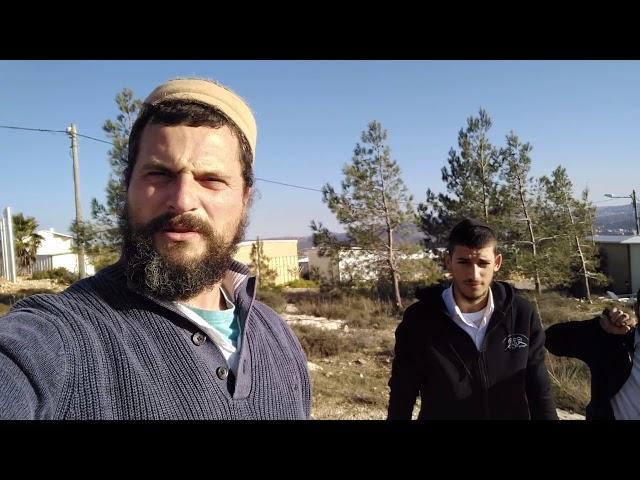 Planting trees in Mitzpe Yitzhar