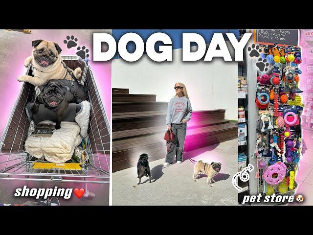 DOG DAY VLOG! 24 часа ВМЕСТЕ! Прогулка, Зоомагазин и ПЕРВЫЙ ШОПППИНГ в Лента С СОБАКАМИ!