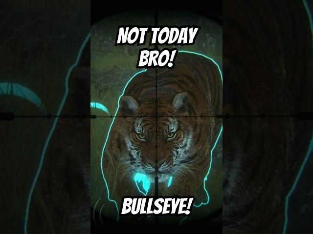 NOT TODAY BRO! BULLSEYE! Diamond Tiger Grind The Hunter: Call of the Wild