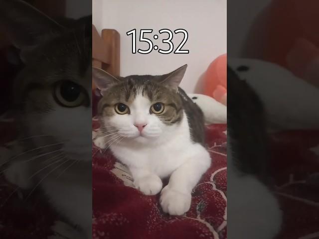 ну блин.. я не сдержался..))🩵