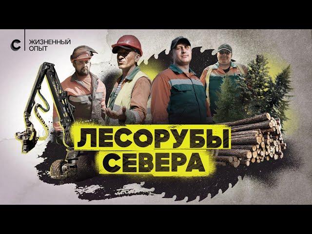 Хозяева леса. Профессия — лесоруб