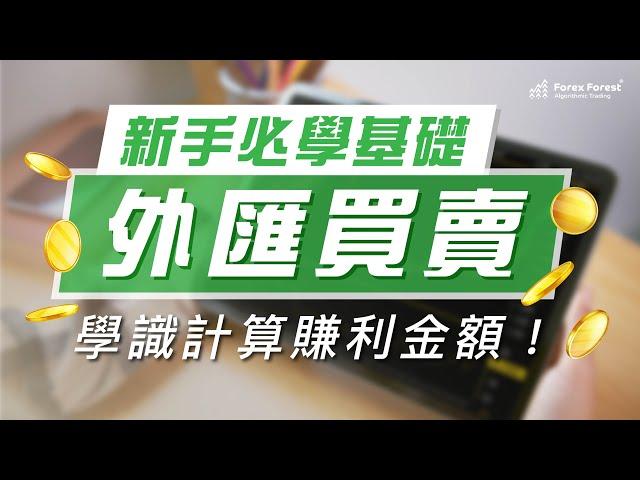 Ep01 - 新手必學概念基礎：外匯買賣之絕對優勢! ｜Forex Forest 程式交易