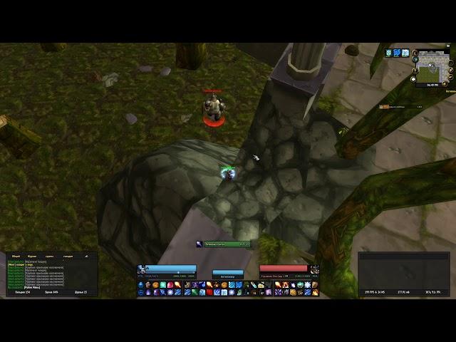 WoW Classic | ФАРМ ГОЛДЫ | МАГ | ЗАБЫТЫЙ ГОРОД СЕВЕР | DIRE MAUL NORTH