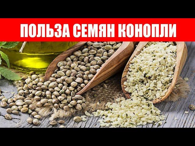 Here's Why You Should Eat Hemp Seeds More Often