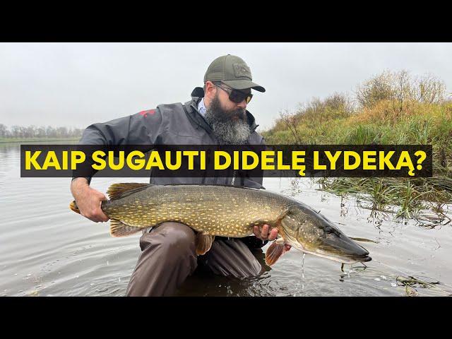 How To Catch BIG Pike on a Fly? (+a 117cm pike) | FlyToTie