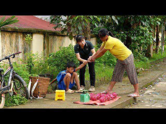 harvesting dragon fruit to sell, Tung's mother caught him while he was with Ly - Daily Life