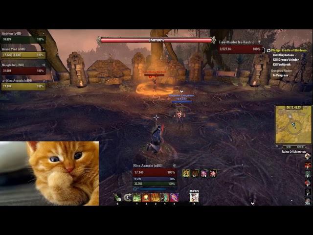 The Elder Scrolls: Online Мазатун или тайны Шедоуфена.