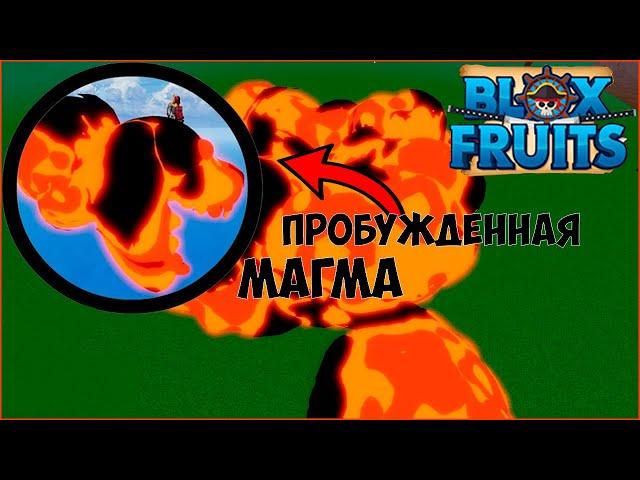 UPDATE 15! Обзор на Пробужденную Магму + Как пробудить | Blox fruits