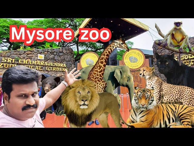 Mysore zoo Must visit place #vinothvlog