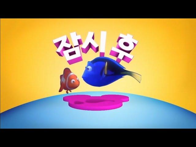 디즈니주니어 잠시후 - 니모를 찾아서 (영화)
