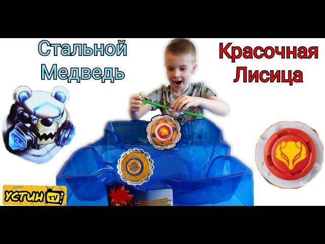 Стальной Медведь VS Красочная Лисица.Баттл на новой бойцовской арене.Устин снова проводит баттл. 13+