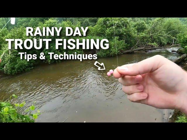CATCH MORE TROUT WITH THESE TIPS & TECHNIQUES || Rainy Day Trout Fishing!