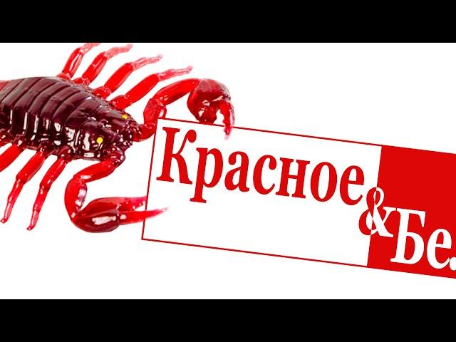 УЖАСНЫЕ Обитатели тропиков из КБ! PlayKits