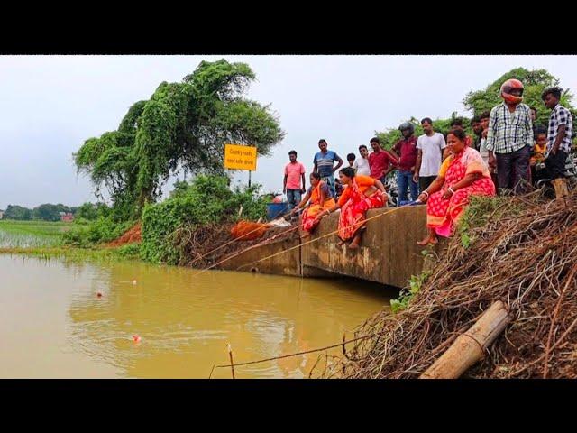 Fishing Video || I would not have believed if I had not seen so many fish in the village canal