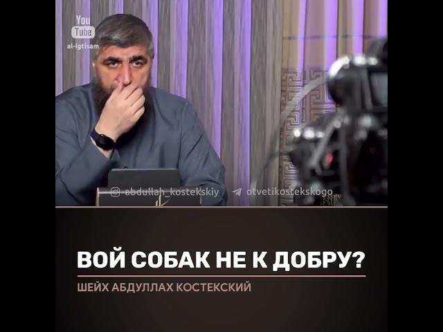 Вой собак не к доброму? Отвечает Абдулла Костекский