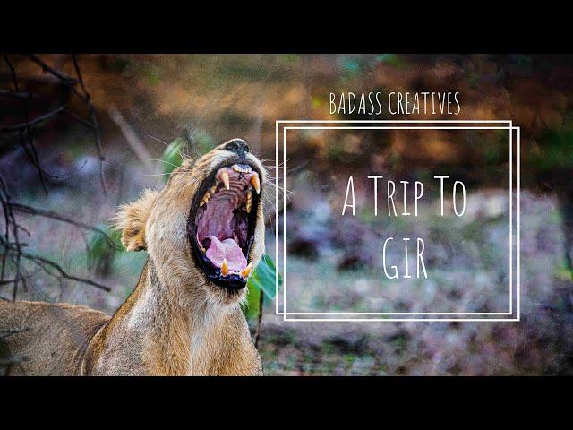 A trip to Gir | Badass Creatives | Sasan Gir | Gujarat | Gir Forest | Gir Resort | Somnath Adventure