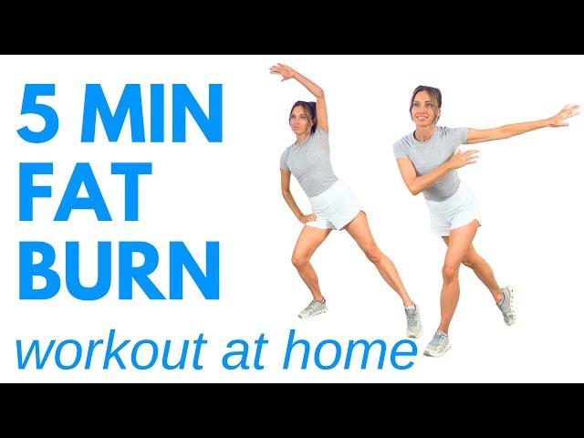 5 Min Calorie Burning Workout - Using the 5 Best Fat Burning Moves