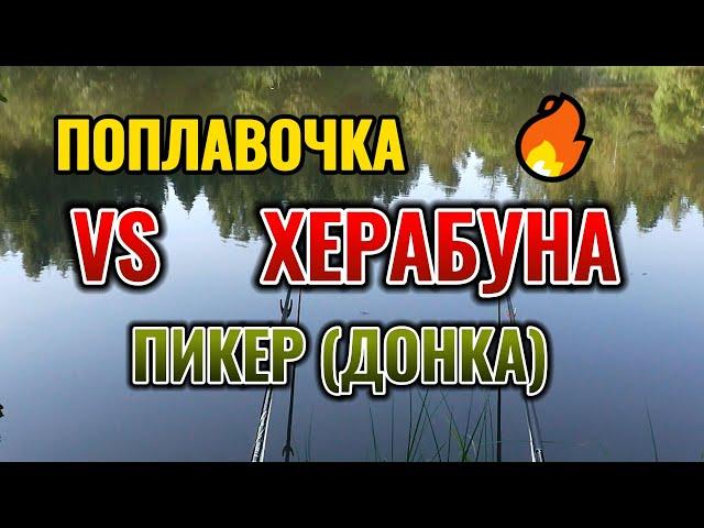 Херабуна VS Поплавочка VS Пикер. Рыболовный - батл. Ловля карася в Сентябре осенью.